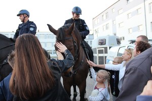 tłumy ludzi głaska dwa policyjne konie