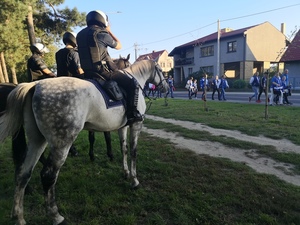Policjanci na koniach w trakcie zabezpieczenia meczu żużlowego
