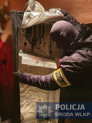 Na zdjęciu widać umundurowanego policjanta z zakrytą twarzą oglądającego zabezpieczone narkotyki i sprzęt do ich produkcji.