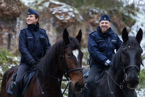 Policjanci na koniach służbowych.